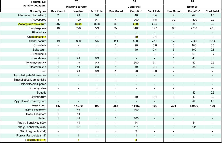 Mold Air Test Results